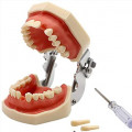  Dental Waxes